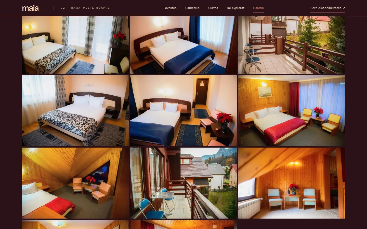 Galeria foto, impartita pe categorii